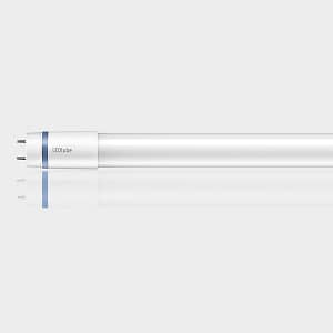 T8 LED Lamps by GFS